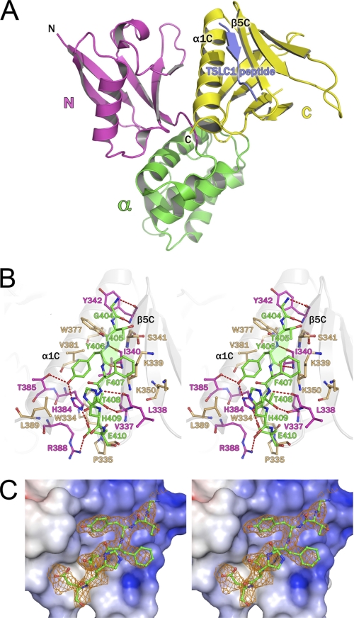 FIGURE 1.