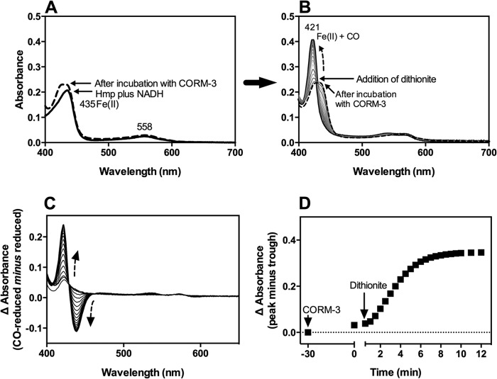 FIGURE 4.