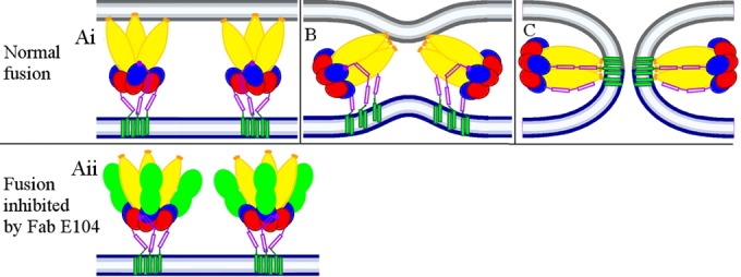 FIG 6