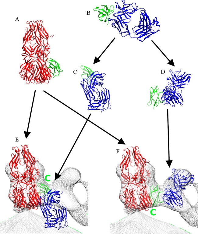 FIG 3