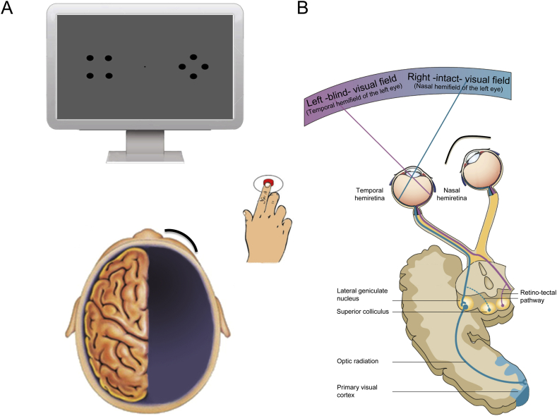 Fig. 3