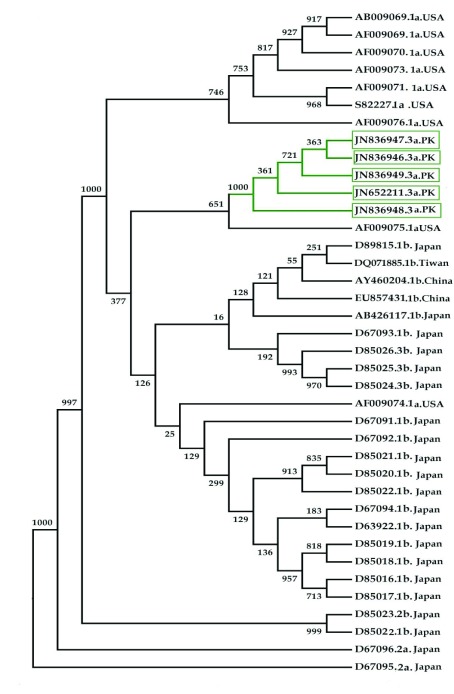 Figure 4.