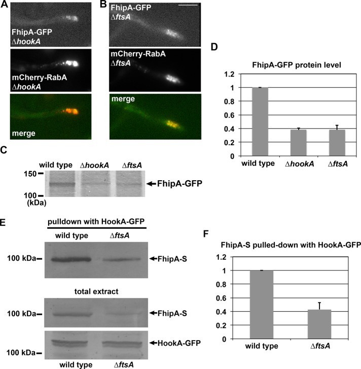 FIGURE 6: