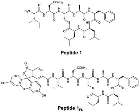 graphic file with name nihms846610f6.jpg