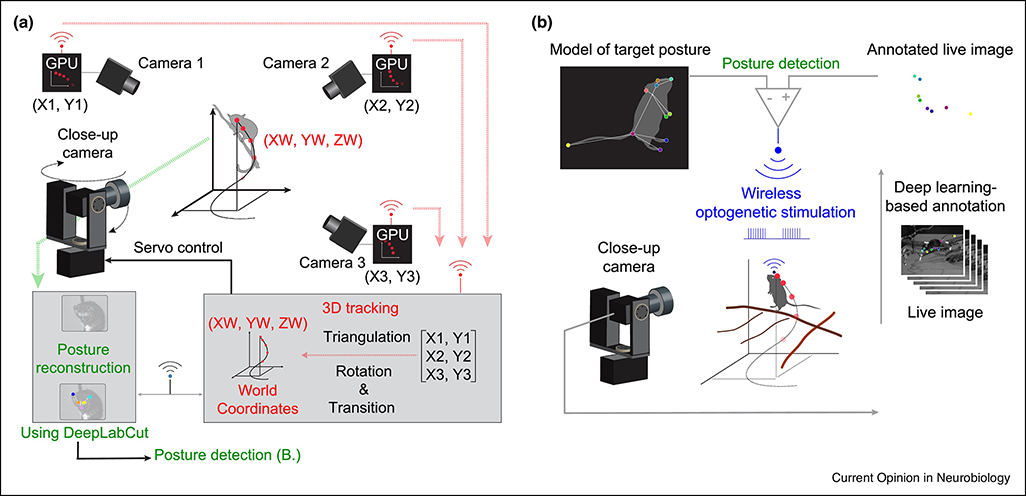 Figure 2.