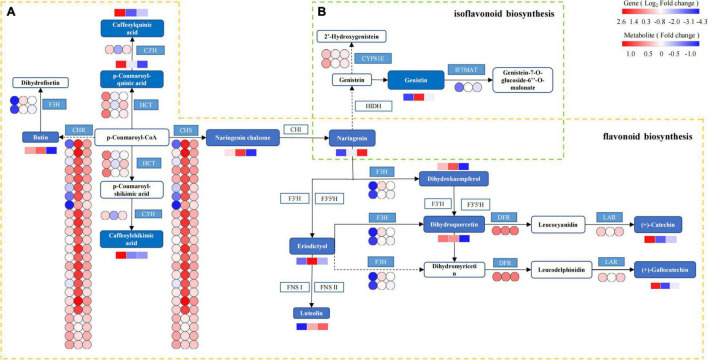 FIGURE 11