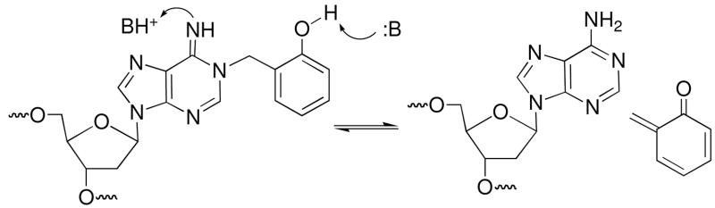 Scheme 6