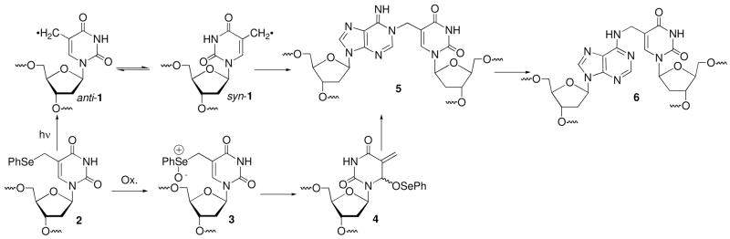 Scheme 1