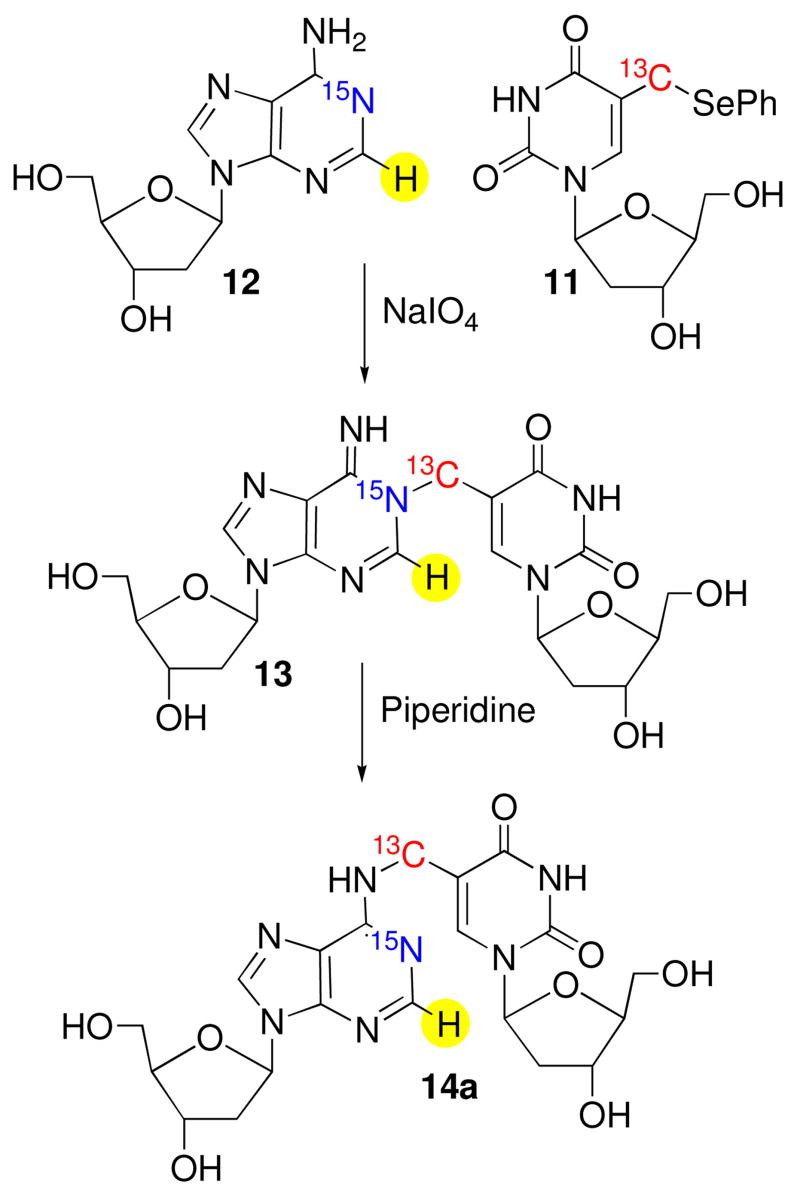 Scheme 5