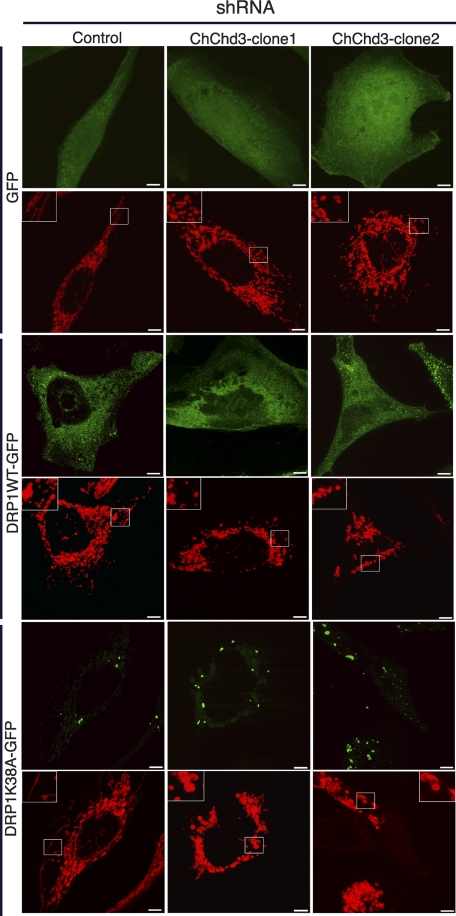 FIGURE 3.