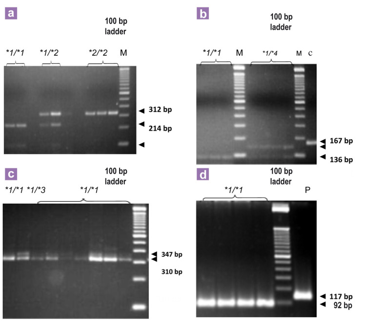 Figure 2: