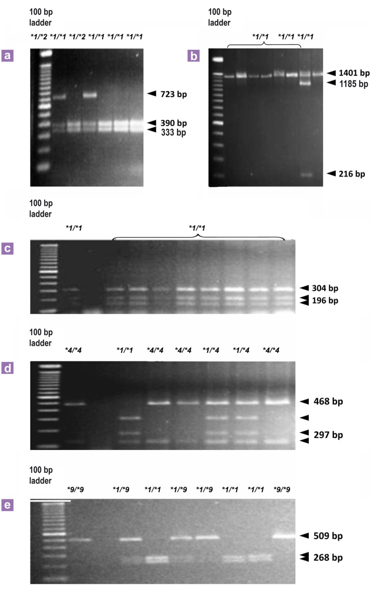 Figure 1: