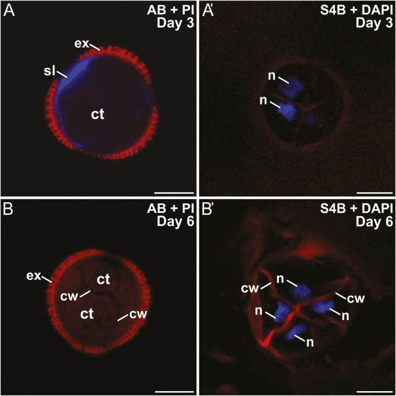 Fig. 7.