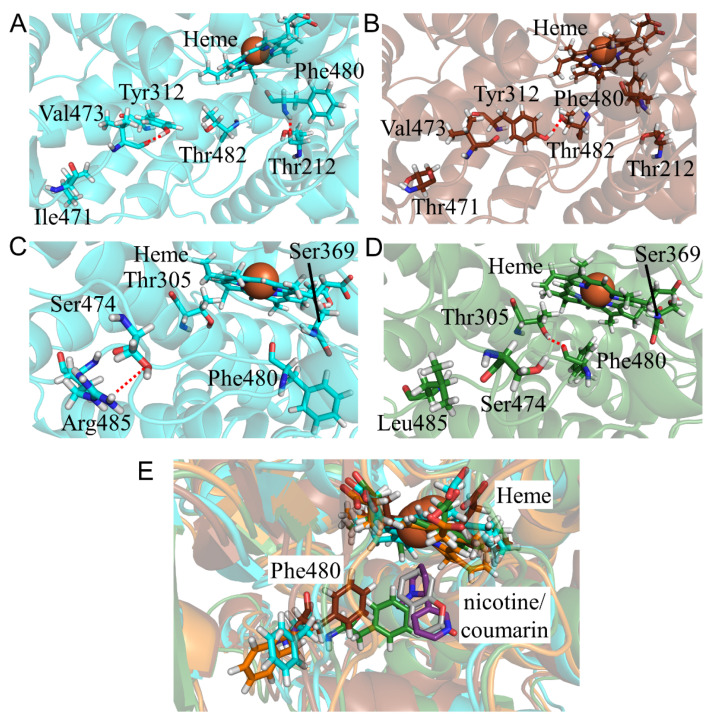 Figure 10