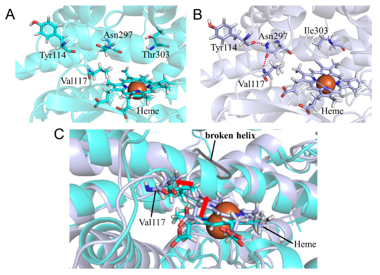 Figure 11