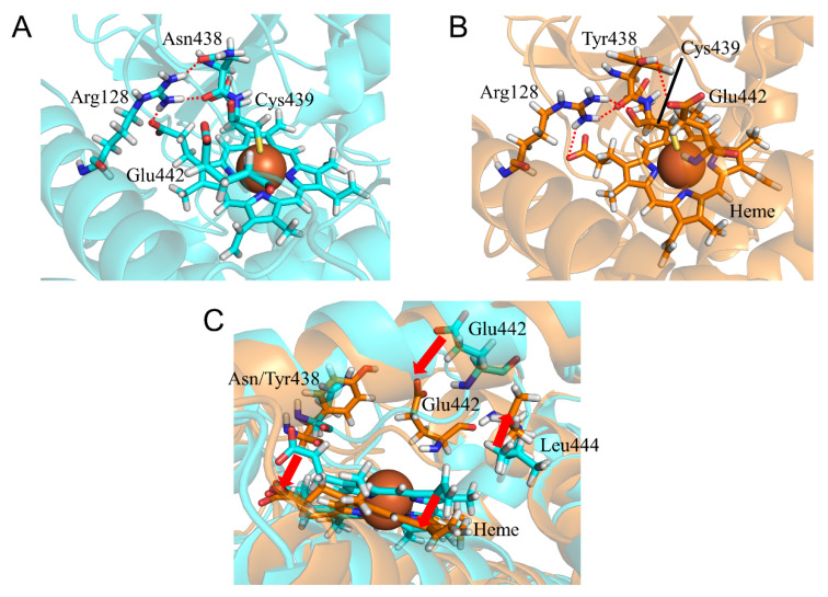 Figure 9