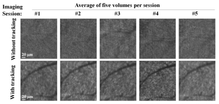 Fig. 6