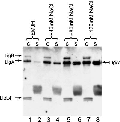 FIG. 6.