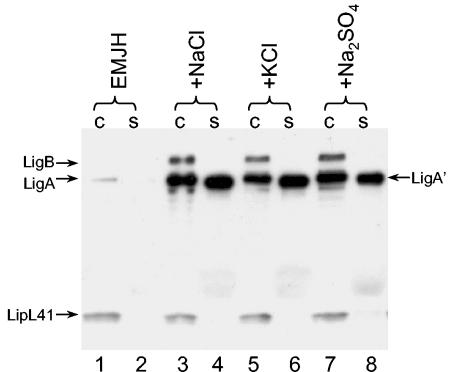 FIG. 5.