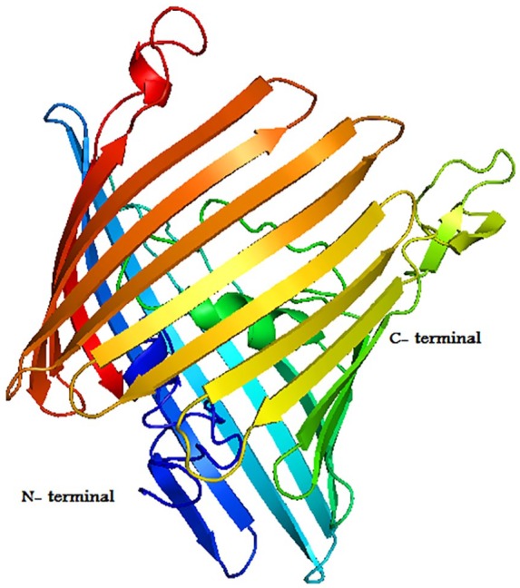 Figure 1.