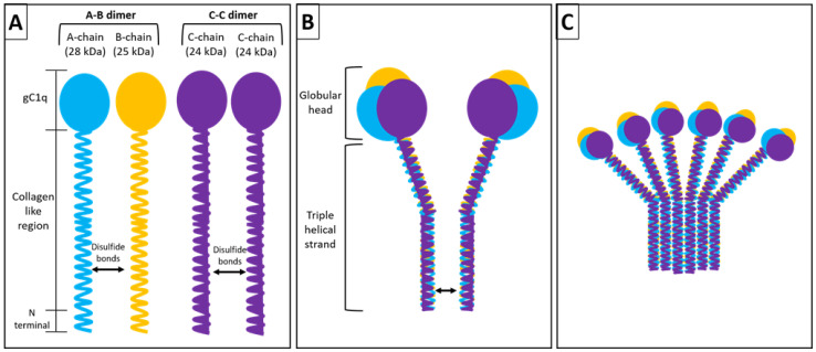 Figure 3. 