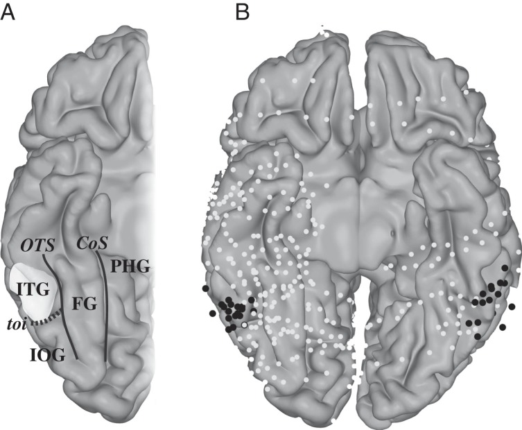 Figure 1.