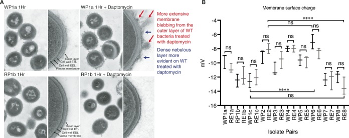 FIG 5 