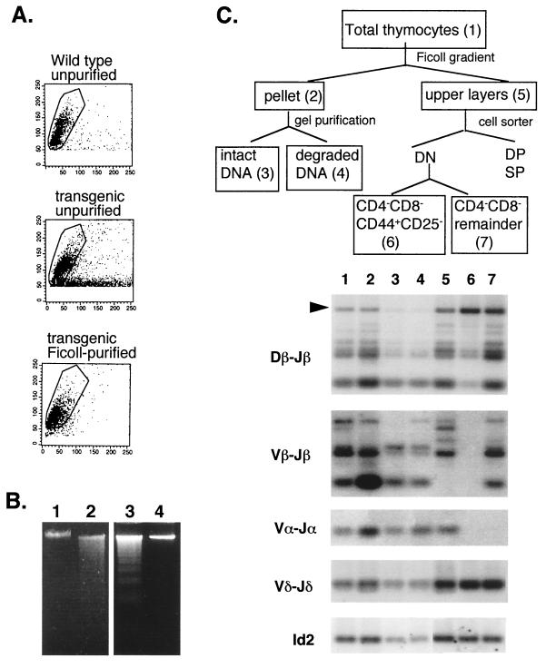 FIG. 5