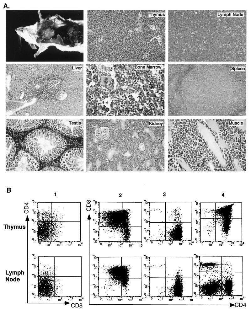 FIG. 6