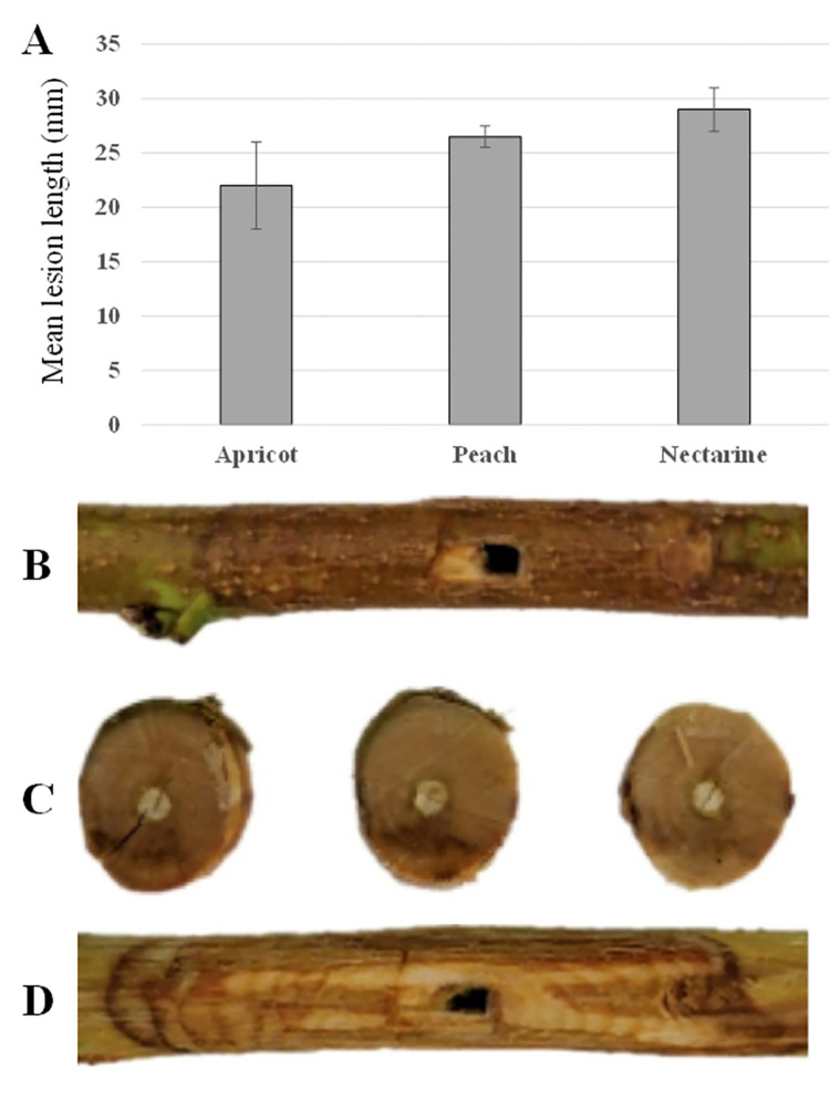 Fig 5