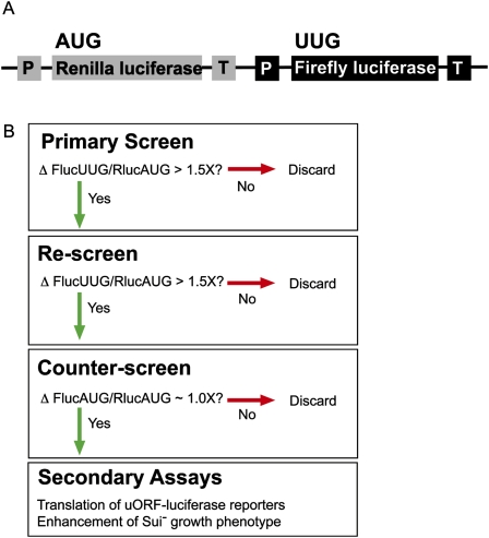 FIGURE 1.