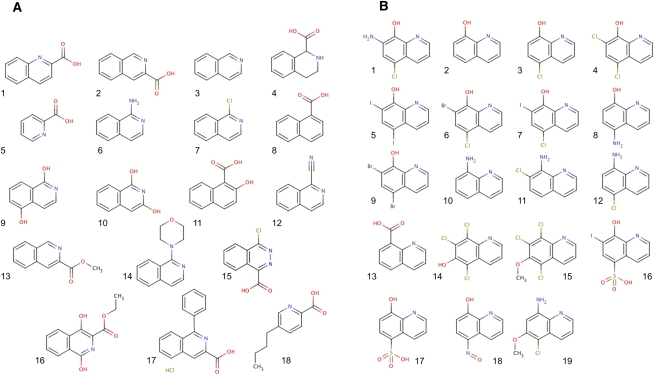 FIGURE 7.