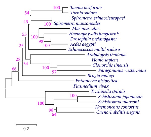 Figure 7