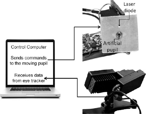 Figure 5.