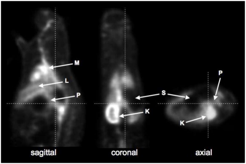 Fig. 7