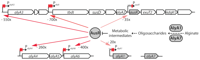 Figure 6.