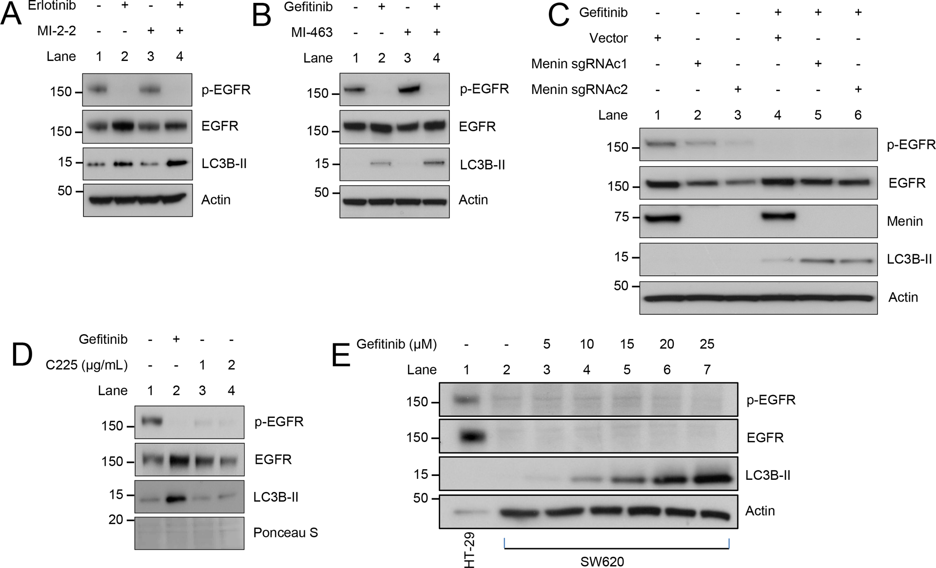 Figure 5: