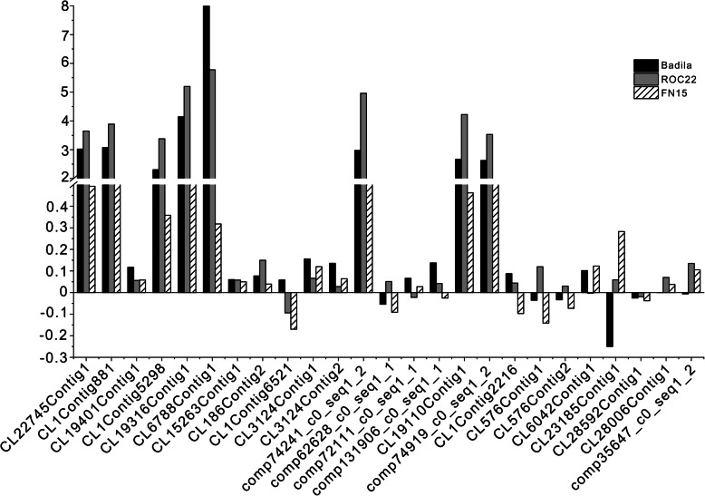 Fig. 3