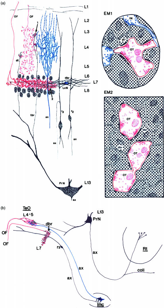 Fig. 10