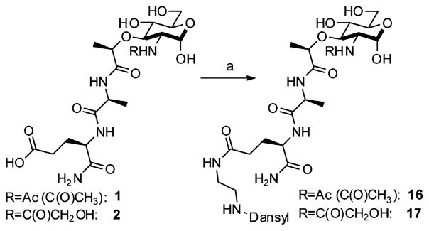 Scheme 2