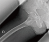 Fig. 8