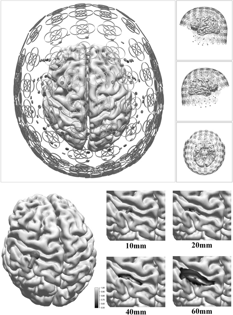 Fig. 1