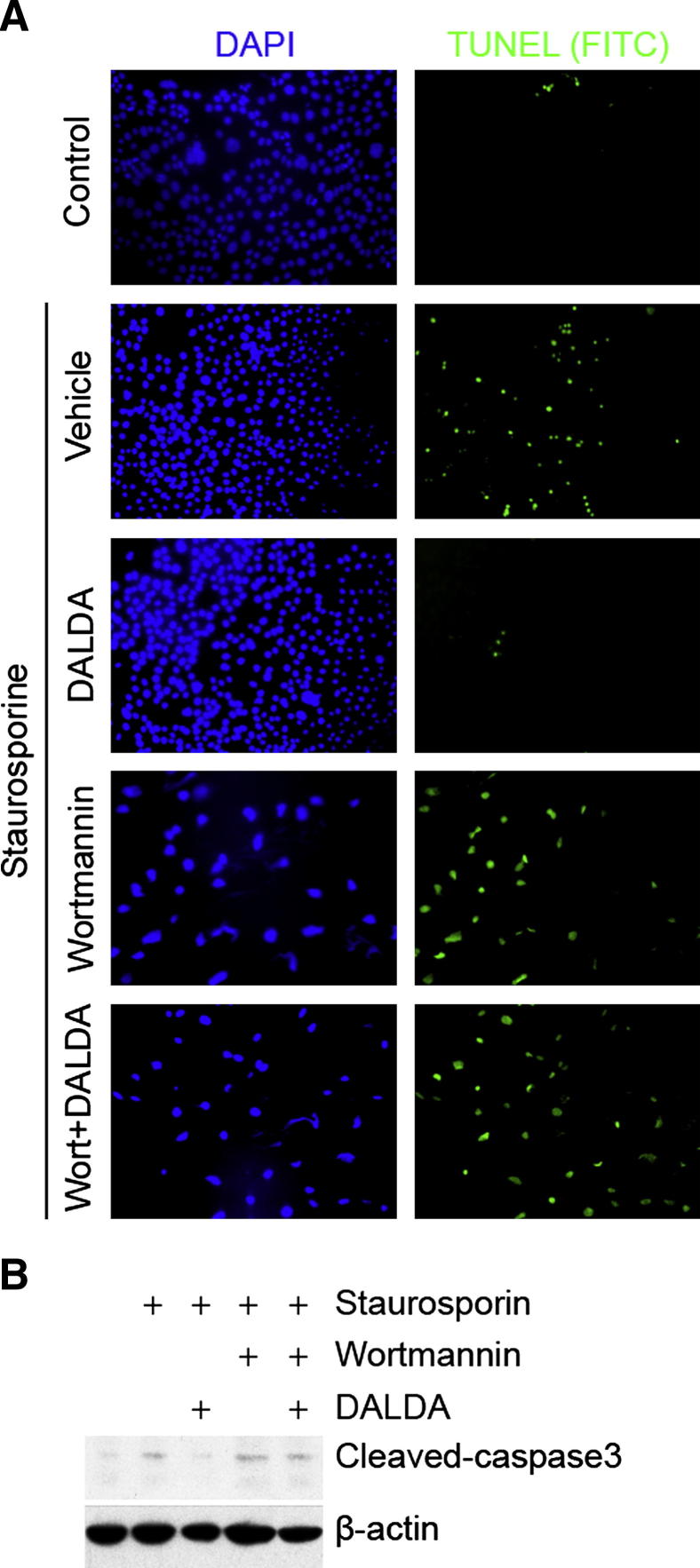 Figure 6