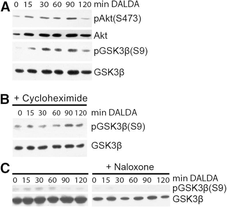 Figure 5