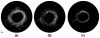 Fig. 9