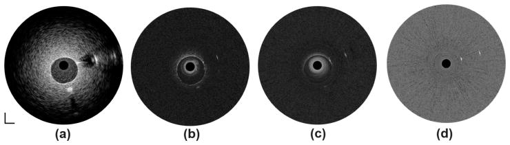 Fig. 8