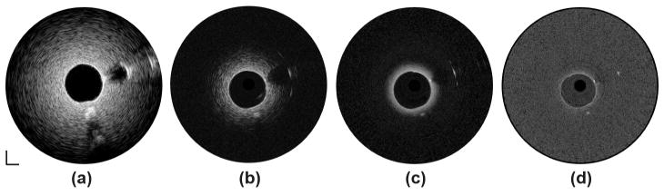 Fig. 6