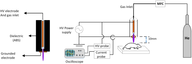 Figure 9