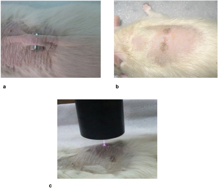 Figure 10