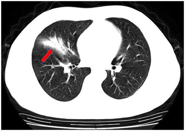 Figure 1.